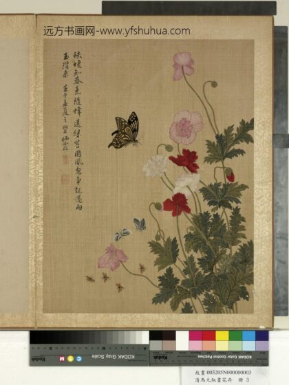 清马元驭画花卉册 蜂蝶虞美人 2.jpg