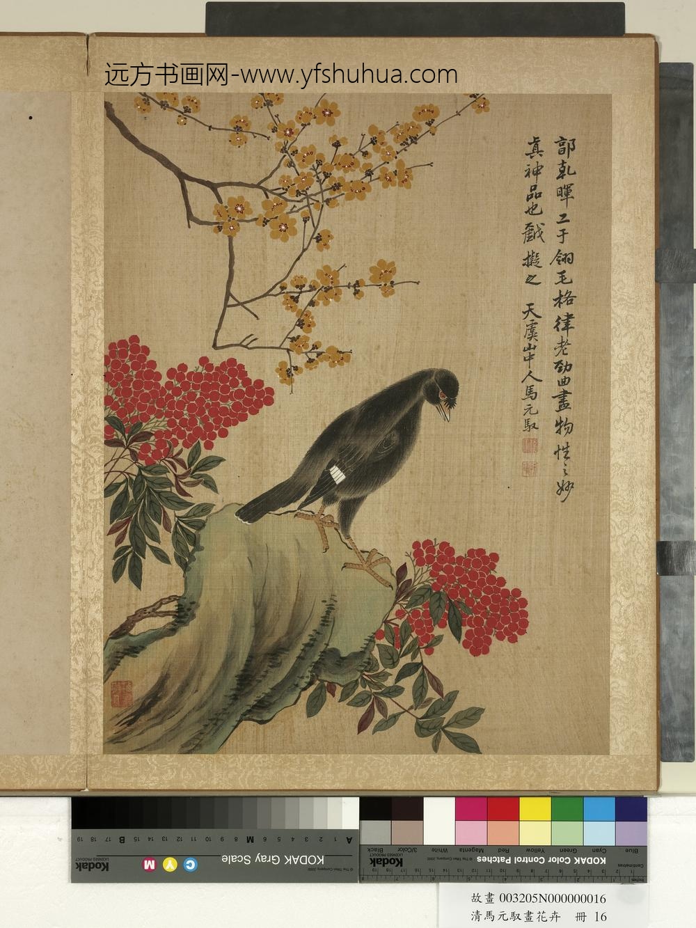 清马元驭画花卉册-蜡梅八哥-