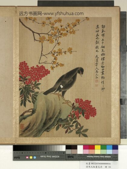 清马元驭画花卉册 蜡梅八哥 2.jpg