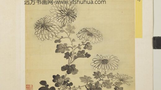 清马元驭花卉册 墨菊 1.jpg