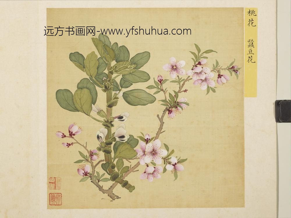 清马元驭花卉册-桃花蚕豆花-