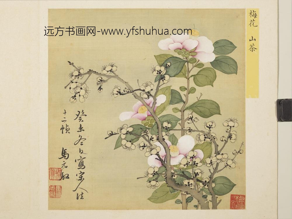 清马元驭花卉册-梅花山茶-