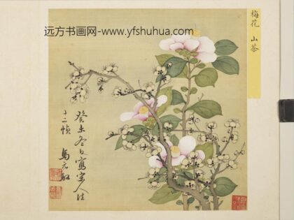 清马元驭花卉册 梅花山茶 3.jpg