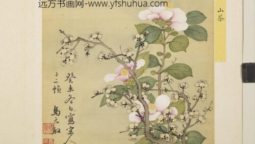 清马元驭花卉册 梅花山茶 3.jpg