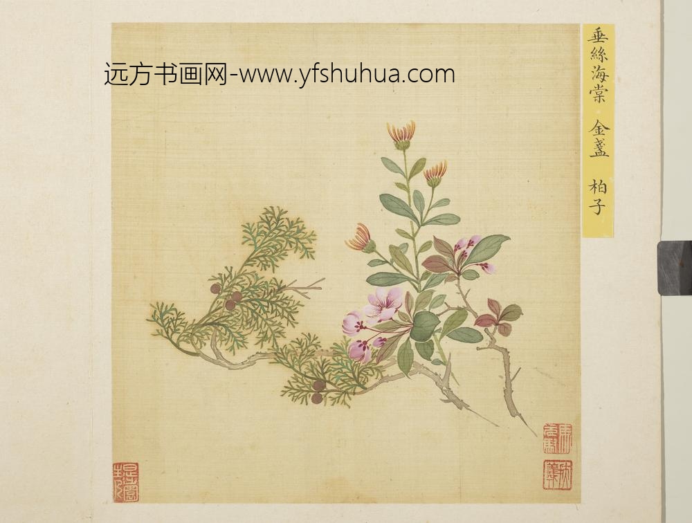 清马元驭花卉册-海棠金盏柏子-