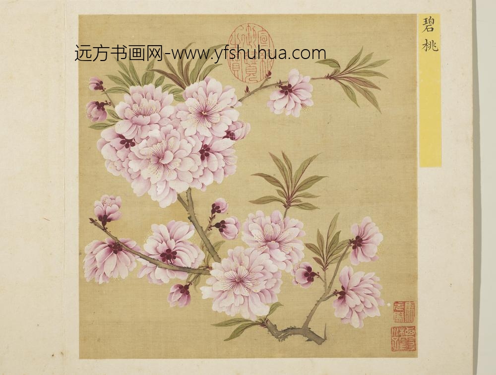 清马元驭花卉册-碧桃-