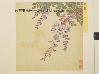 清马元驭花卉册 紫藤 3.jpg