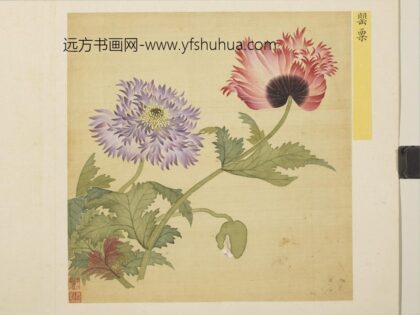 清马元驭花卉册 罂粟 3.jpg