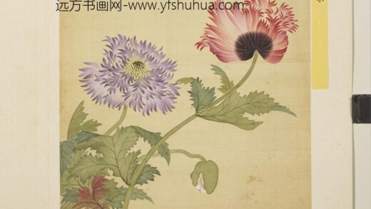 清马元驭花卉册 罂粟 3.jpg