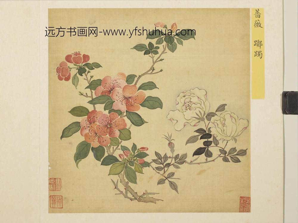 清马元驭花卉册-蔷薇踯躅-