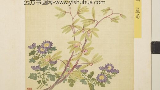 清马元驭花卉册 蕙兰蓝菊 3.jpg