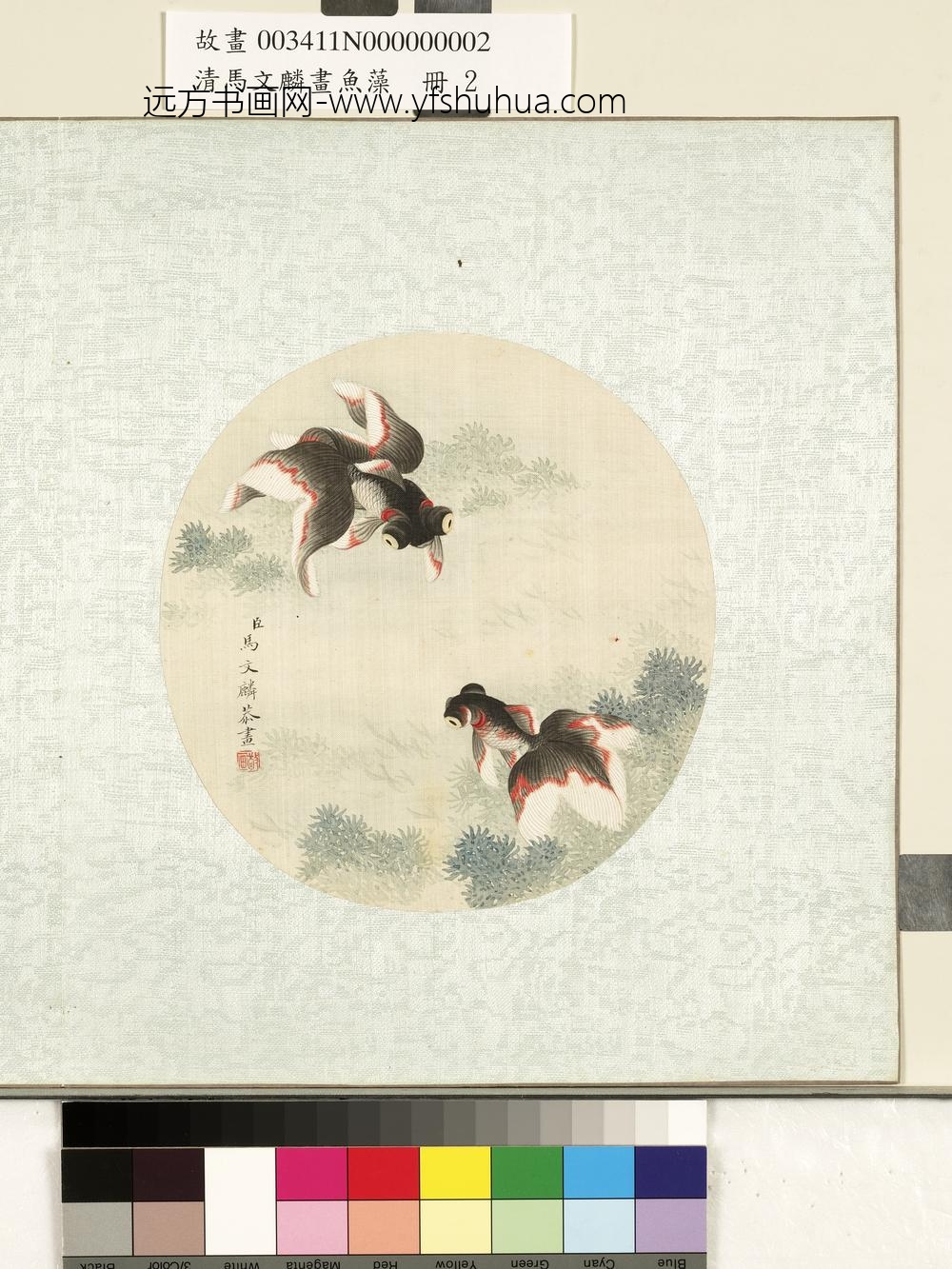 清马文麟画鱼藻册-金鱼-