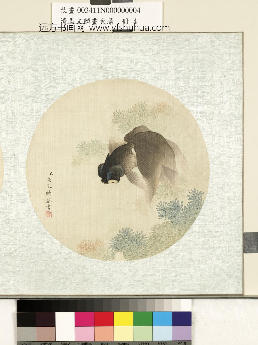 清马文麟画鱼藻册-金鱼-