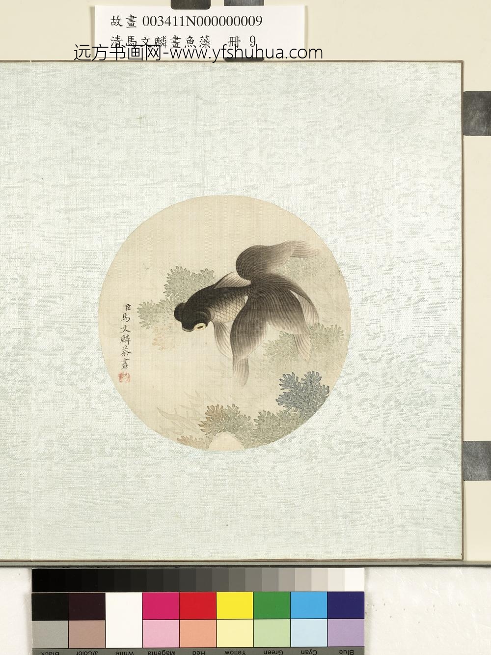 清马文麟画鱼藻册-金鱼-