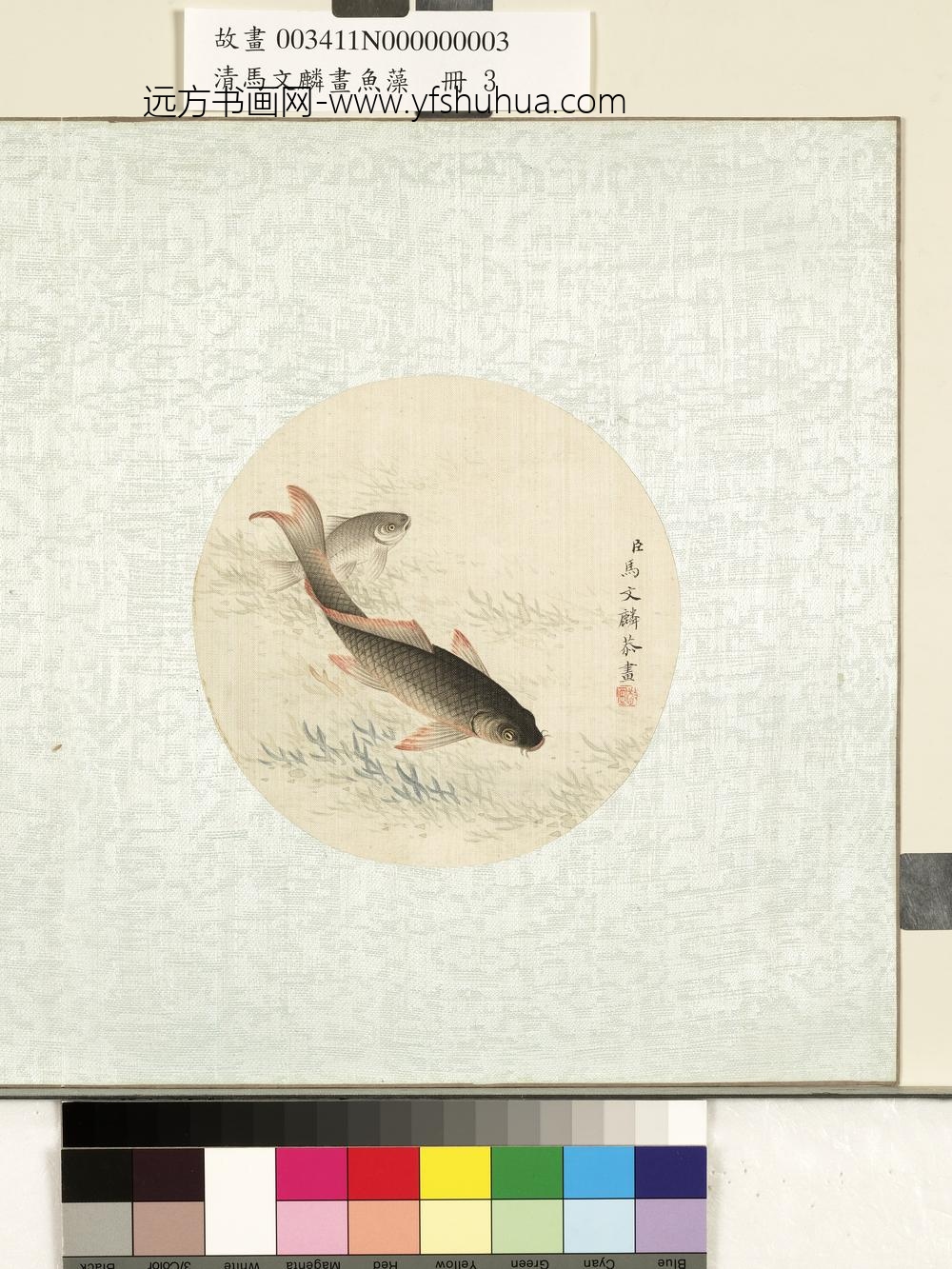 清马文麟画鱼藻册-鲤鱼-
