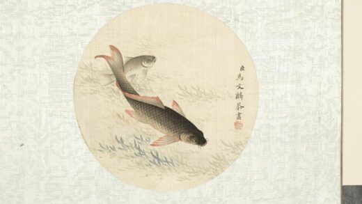 清马文麟画鱼藻册 鲤鱼 7.jpg