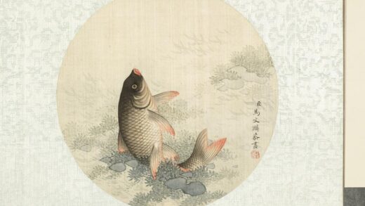 清马文麟画鱼藻册 鲤鱼 8.jpg