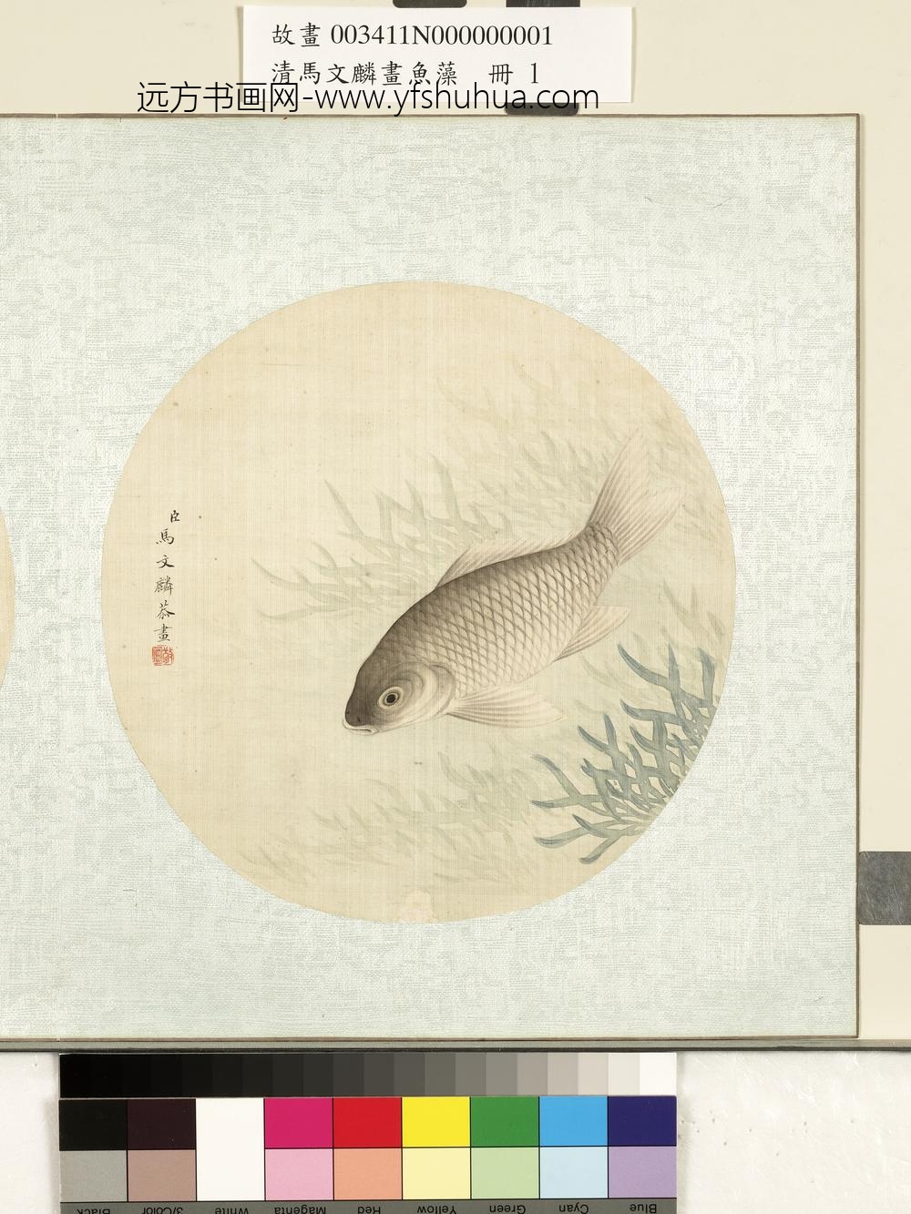 清马文麟画鱼藻册-鲫鱼-
