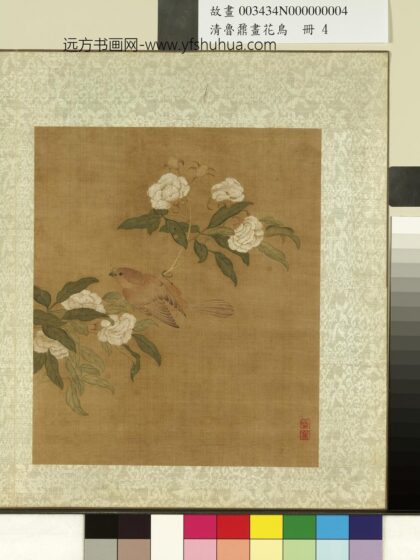 清鲁鼐画花鸟册 翎毛 2.jpg