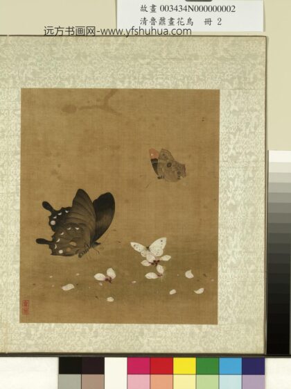 清鲁鼐画花鸟册 花蝶 2.jpg