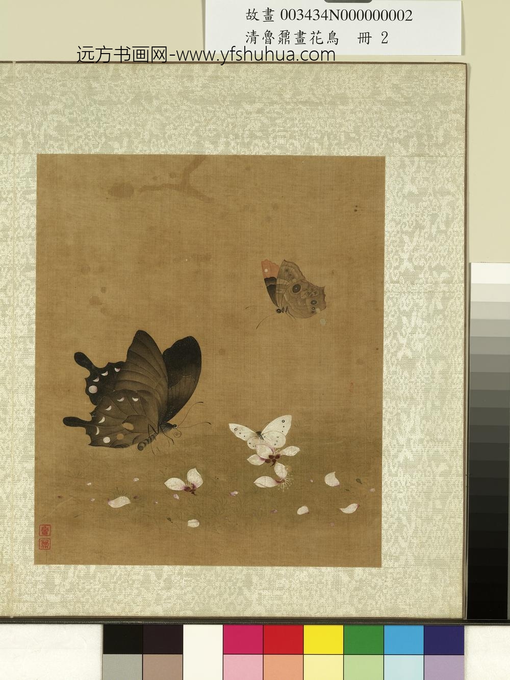 清鲁鼐画花鸟册-花蝶-