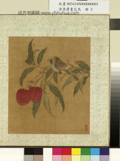 清鲁鼐画花鸟册 荔枝翎毛 2.jpg