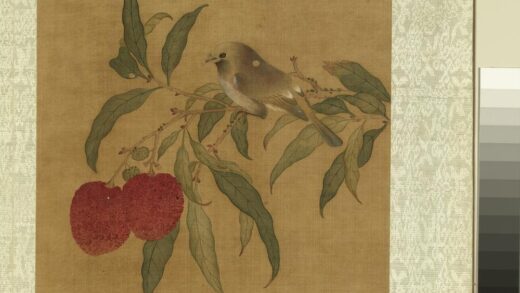 清鲁鼐画花鸟册 荔枝翎毛 2.jpg