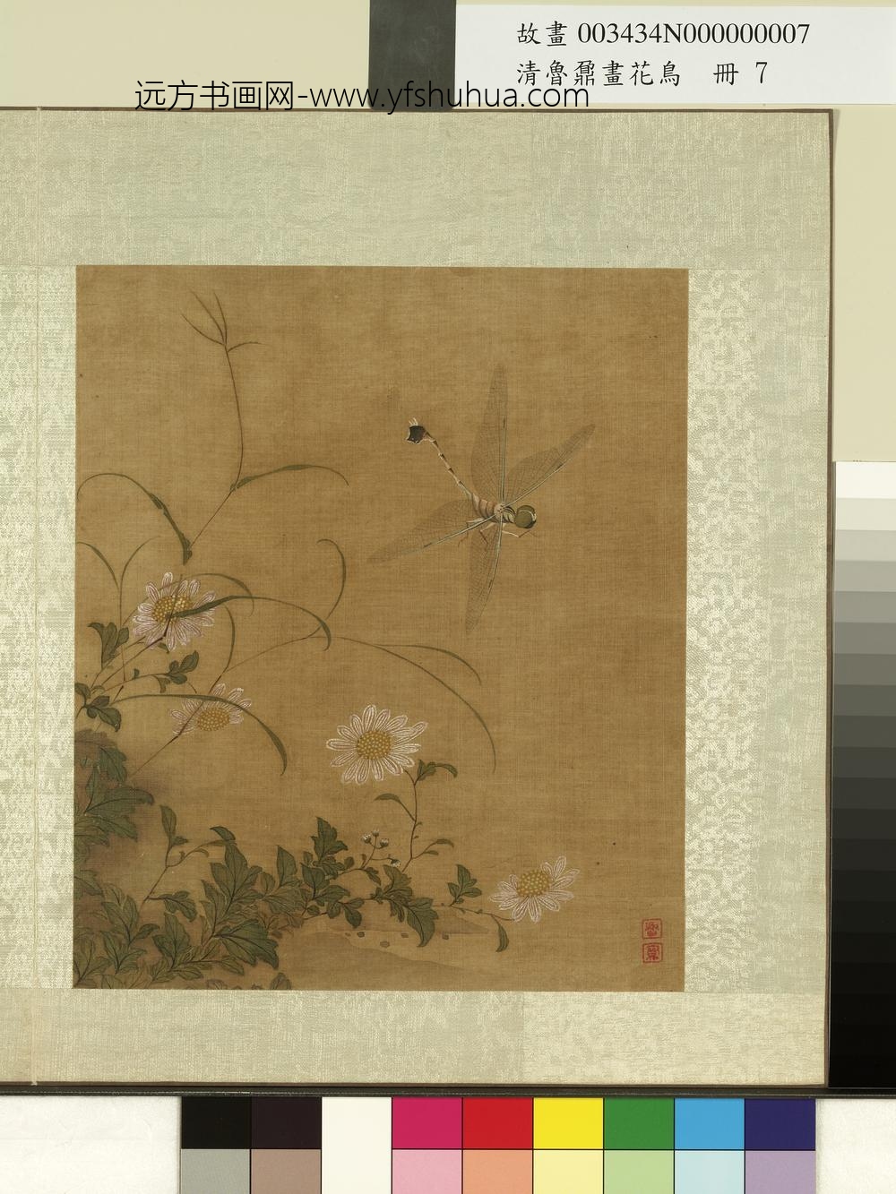 清鲁鼐画花鸟册-菊蜻蜓-