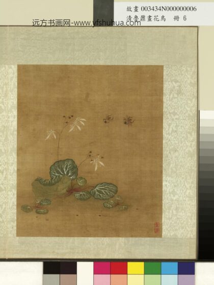 清鲁鼐画花鸟册 虎耳草蜂 2.jpg