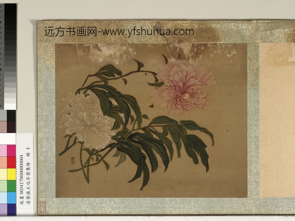 清黄慎王旼序荣集绘册-芍药-