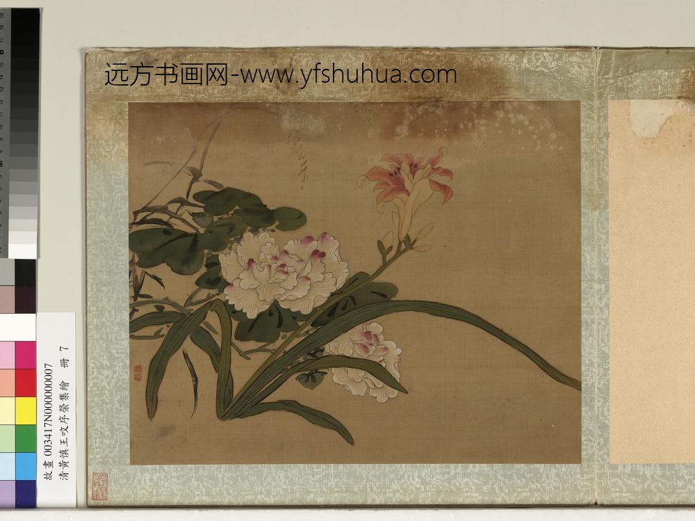 清黄慎王旼序荣集绘册-芙蓉-