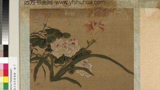 清黄慎王旼序荣集绘册 芙蓉 3.jpg