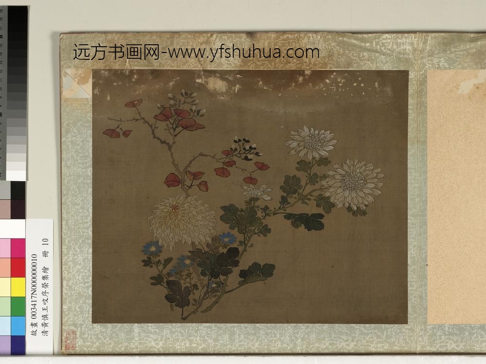 清黄慎王旼序荣集绘册-菊-