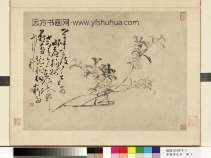 清黄慎花卉册桃花 1.jpg