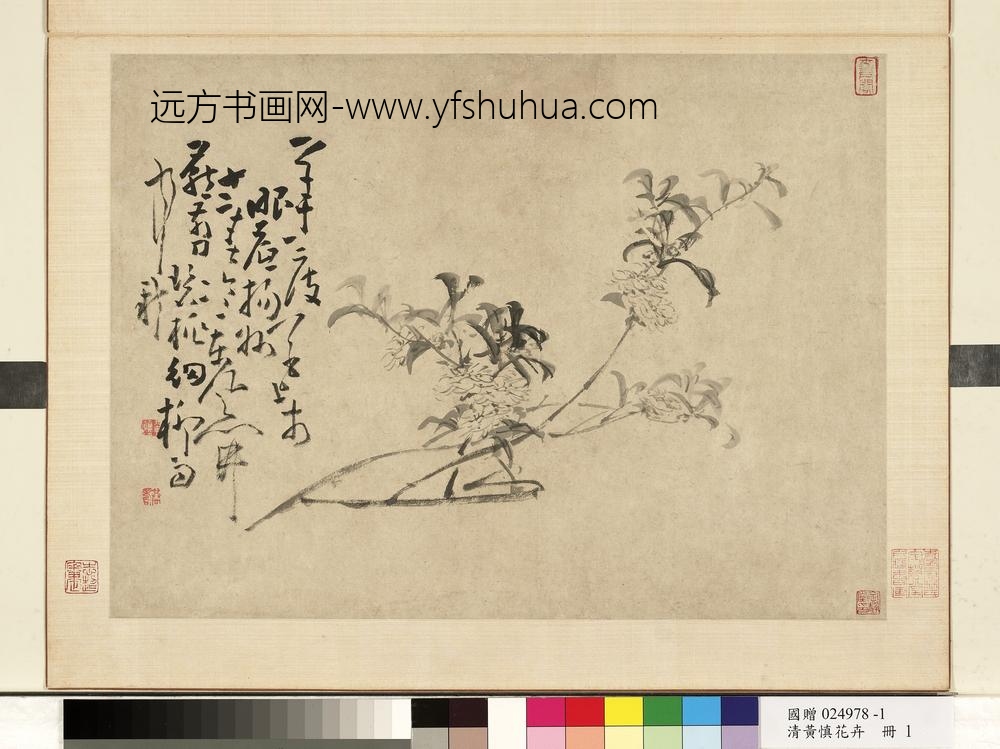 清黄慎花卉册桃花-