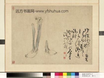 清黄慎花卉册水仙 2.jpg