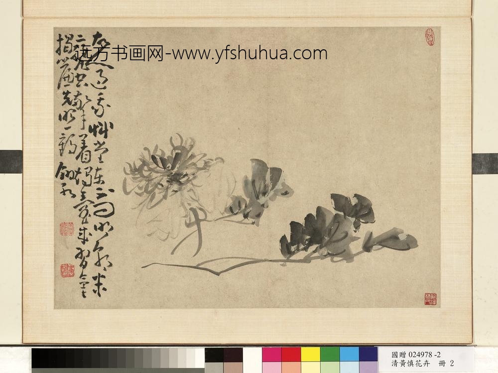 清黄慎花卉册牡丹-