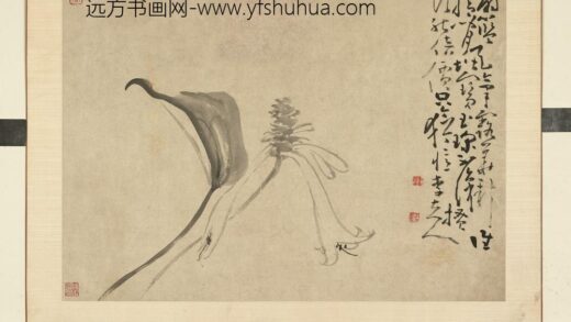 清黄慎花卉册玉簪 2.jpg