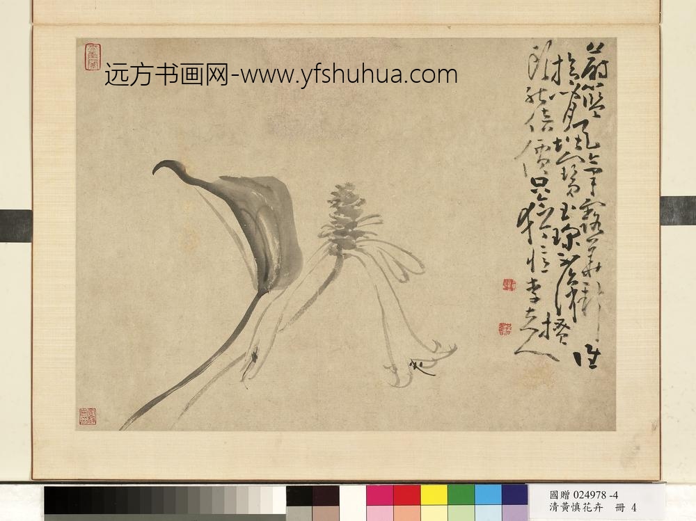 清黄慎花卉册玉簪-