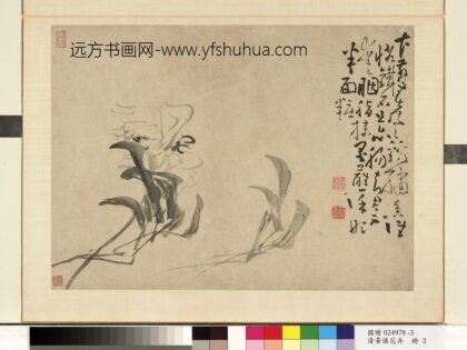 清黄慎花卉册芍药 2.jpg