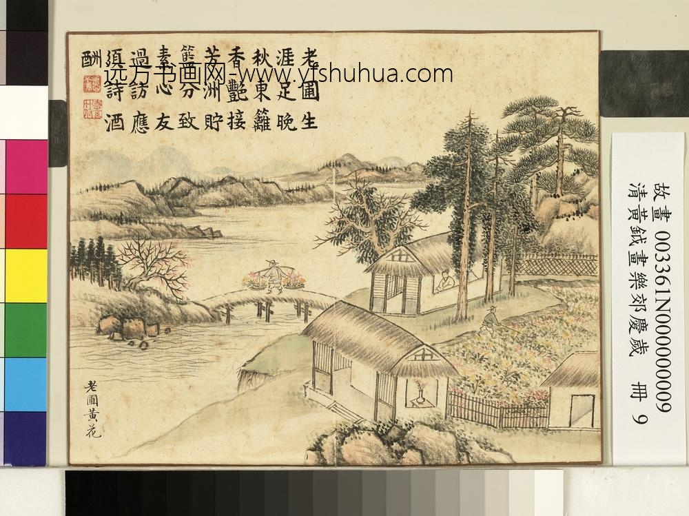 清黄钺画乐郊庆岁册-老圃黄花-