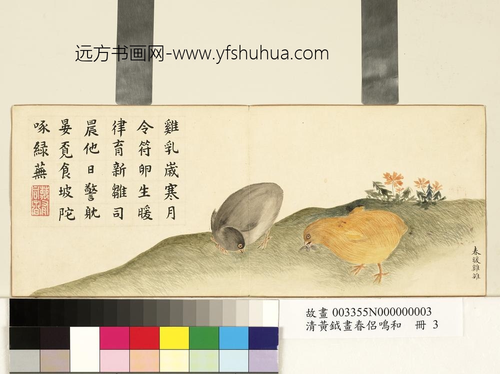 清黄钺画春侣鸣和册-春暖鸡雏-