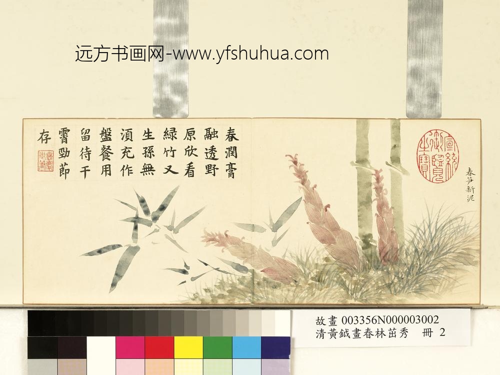 清黄钺画春林茁秀册-春笋新泥-