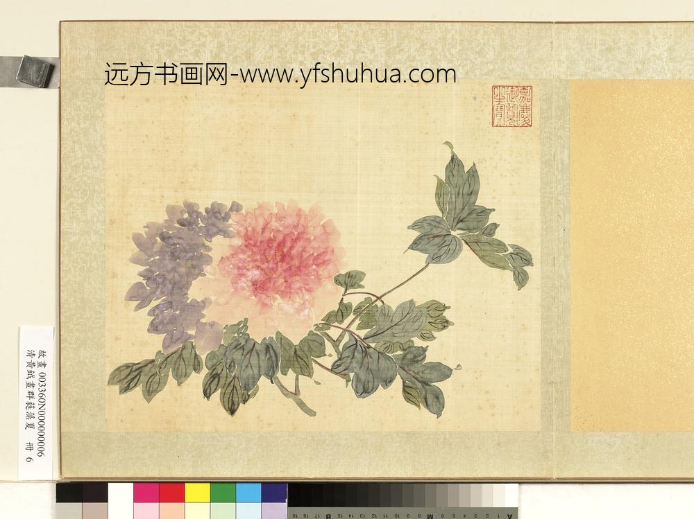 清黄钺画群蕤藻夏册-画牡丹-