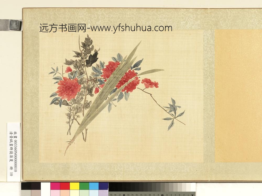 清黄钺画群蕤藻夏册-画石榴菖蒲-
