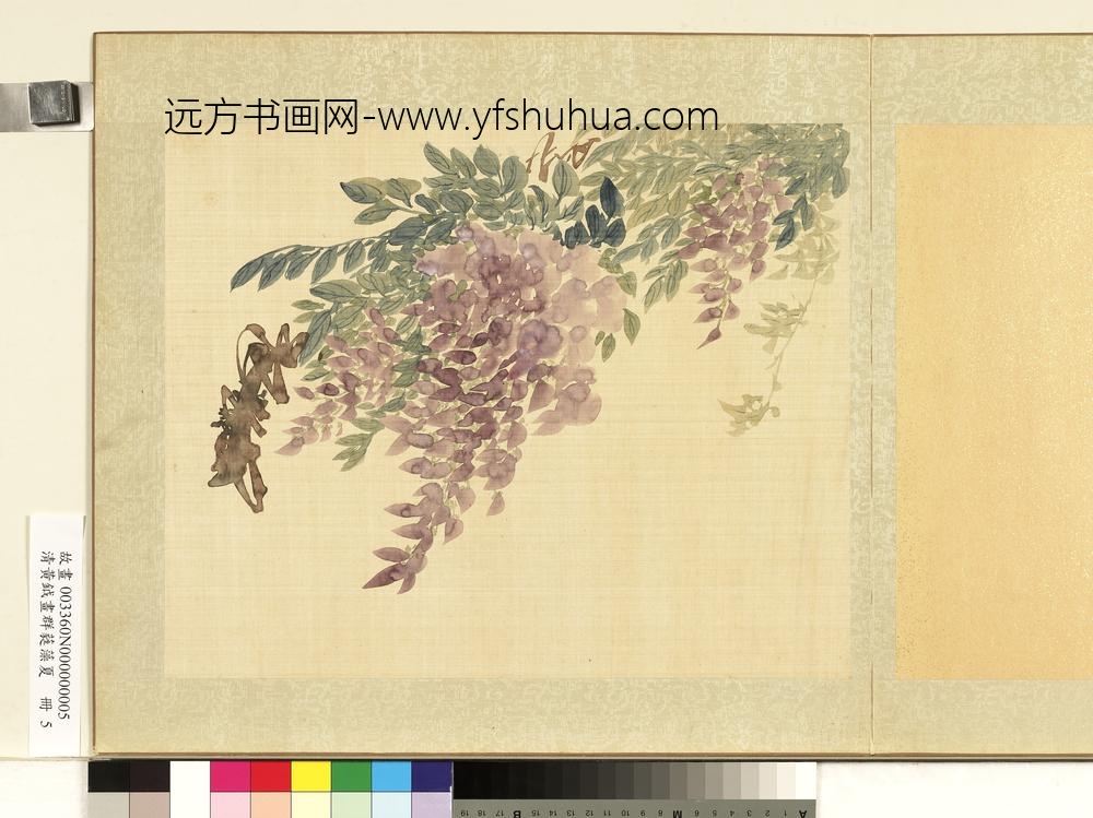 清黄钺画群蕤藻夏册-画紫藤-