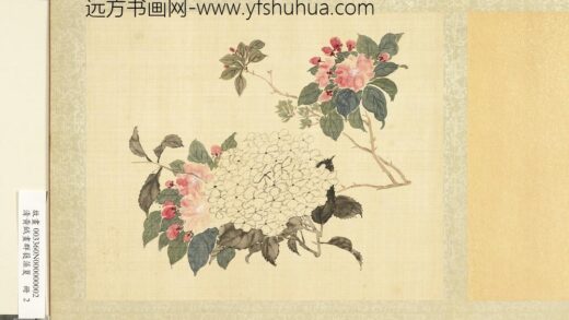 清黄钺画群蕤藻夏册 画绣球海棠 2.jpg