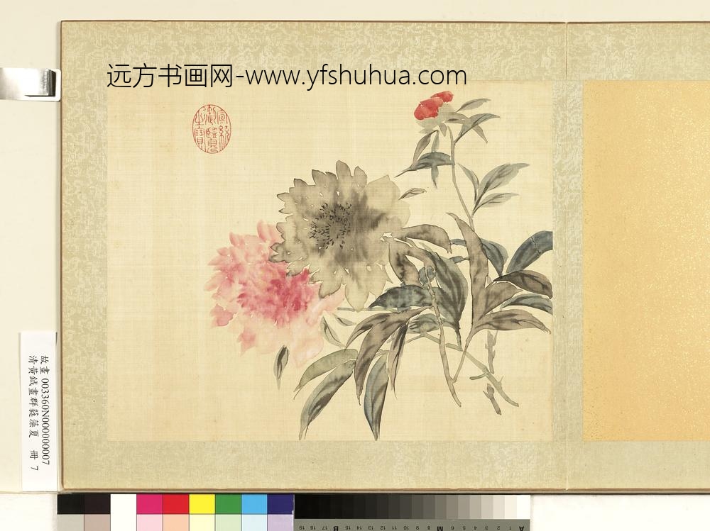 清黄钺画群蕤藻夏册-画芍药-