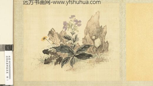 清黄钺画群蕤藻夏册 画草花奇石 2.jpg