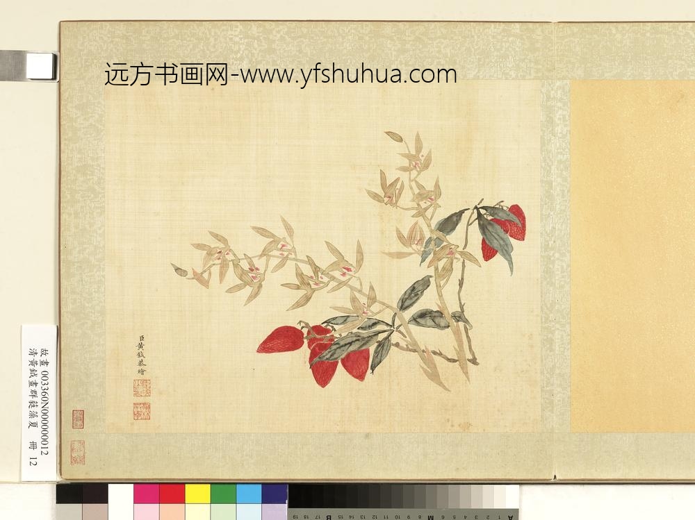 清黄钺画群蕤藻夏册-画荔枝香蕙-
